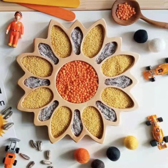 Wooden Sorting & Color Classification Board