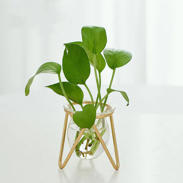 Modern Minimalist Table Vase